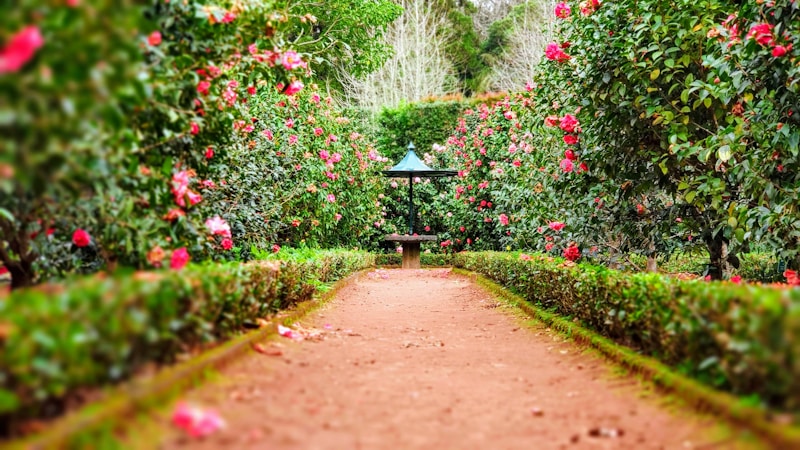 Atelier Plantation & Botanique